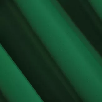 Zasłona gotowa na taśmie PARISA 135x270 Eurofirany ciemny zielony