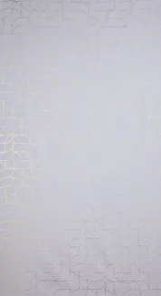 Zasłona gotowa na przelotkach EVI 140x250 Eurofirany biały