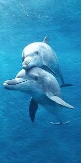 Ręcznik plażowy 100x180 niebieski delfiny