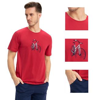 Piżama męska LUNA kod 734 bordowa granatowa rower