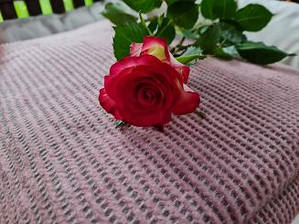 Koc narzuta AMBER 70x160 Design91 pudrowy