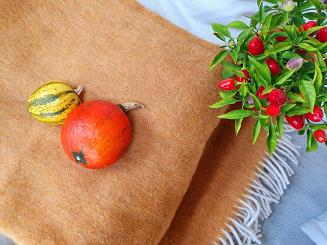 Koc wełniany jednobarwny z frędzlami miodowy