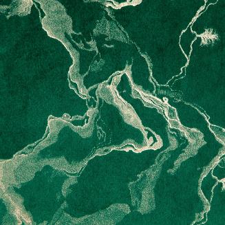 Zasłona gotowa na przelotkach RAJA 140x250 Eurofirany ciemnozielony