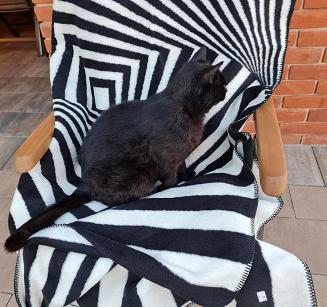 Koc bawełniano-akrylowy 150x200 geometryczna zebra