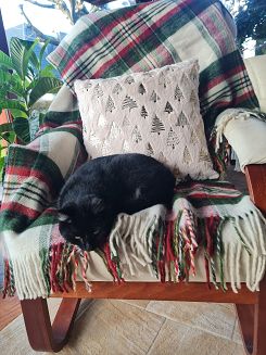 Koc wełniany z frędzlami 160x200 kratka szkocka