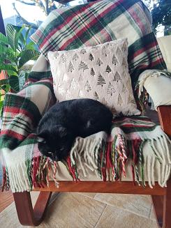 Koc wełniany z frędzlami 160x200 kratka szkocka