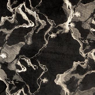 Zasłona gotowa na przelotkach RAJA 140x250 Eurofirany czarny