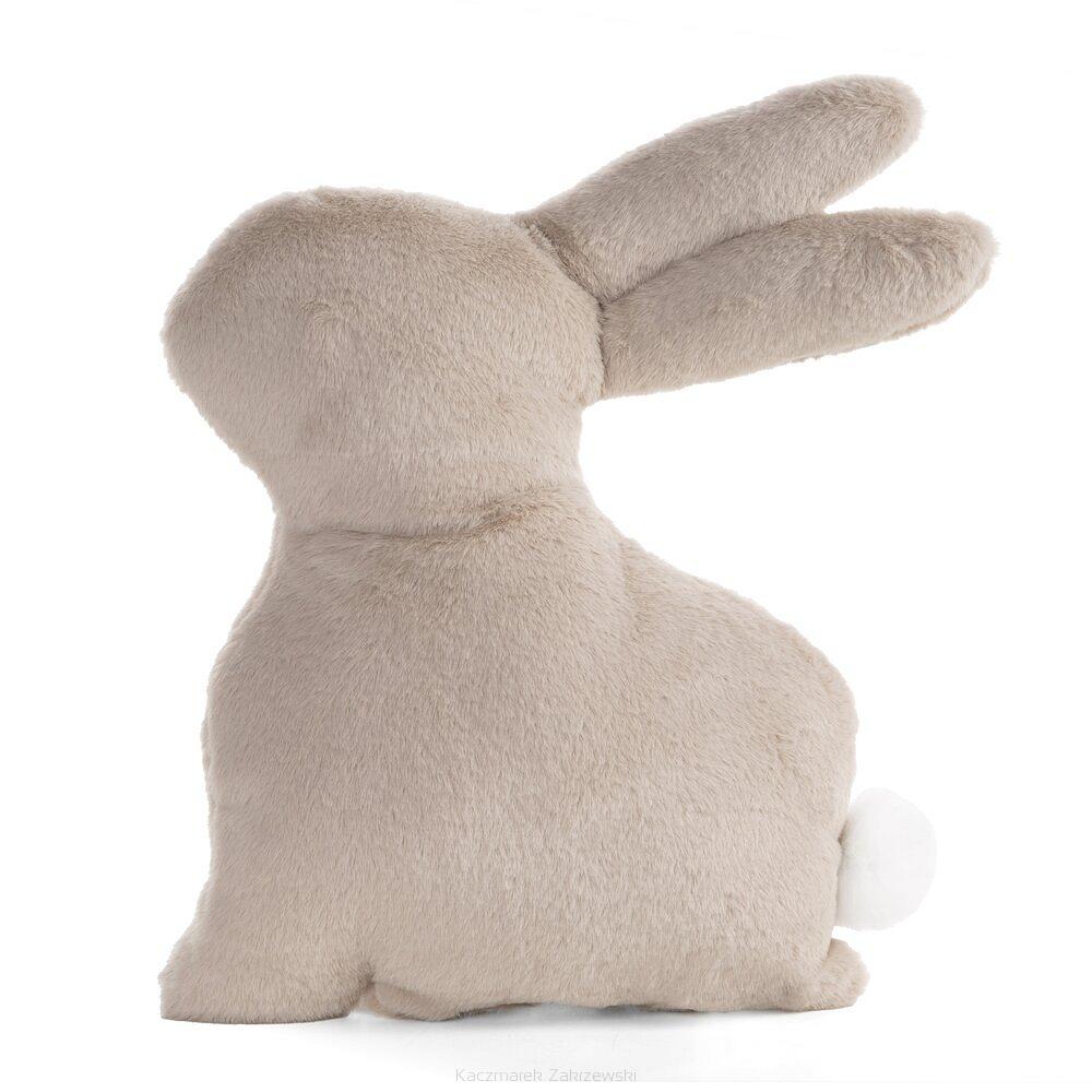 Poszewka dekoracyjna WIOSNA 35x39 Eurofirany beżowy